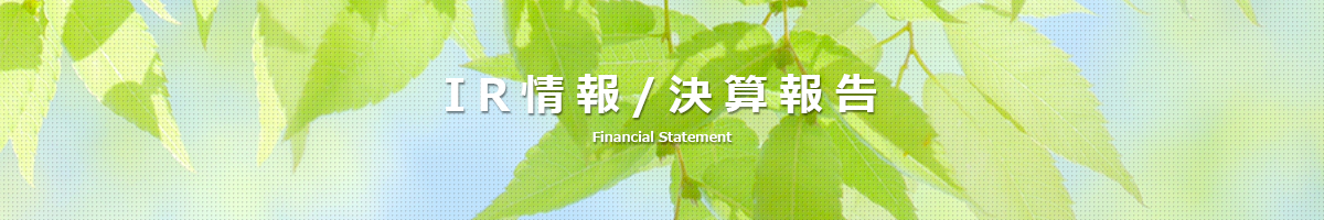 IR情報/決算報告